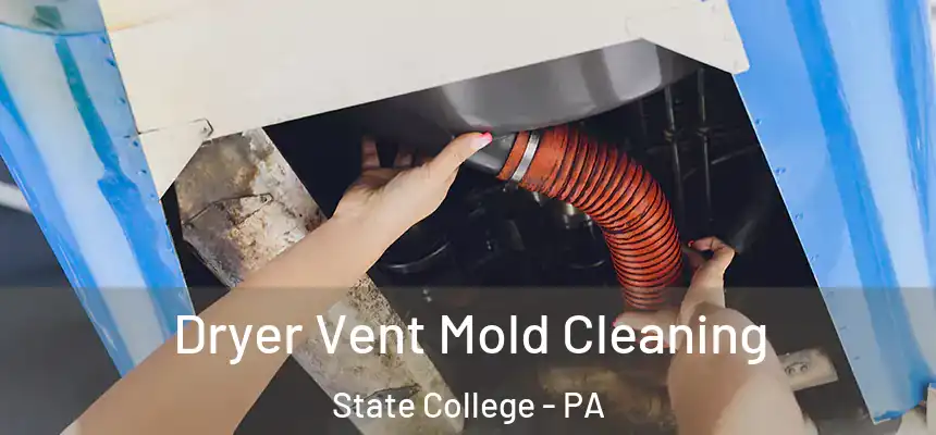  Dryer Vent Mold Cleaning State College - PA