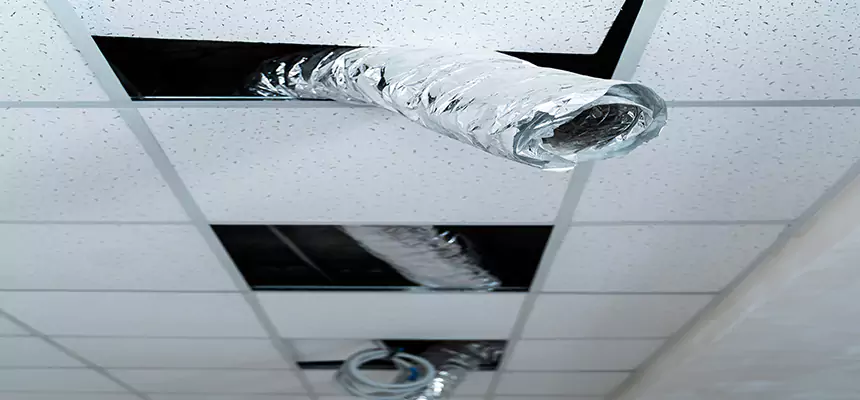 Affordable HVAC Sanitizing After Pest Removal in State College