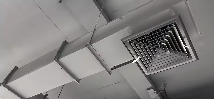 Our Rodent Droppings In Vents Services in State College, PA