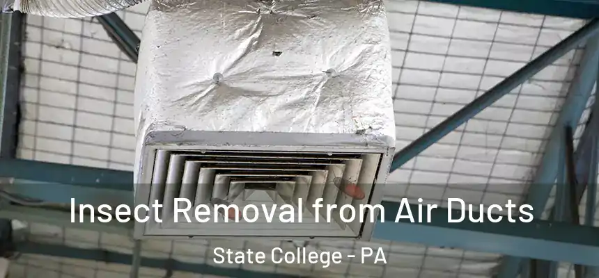 Insect Removal from Air Ducts State College - PA