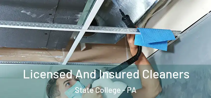  Licensed And Insured Cleaners State College - PA