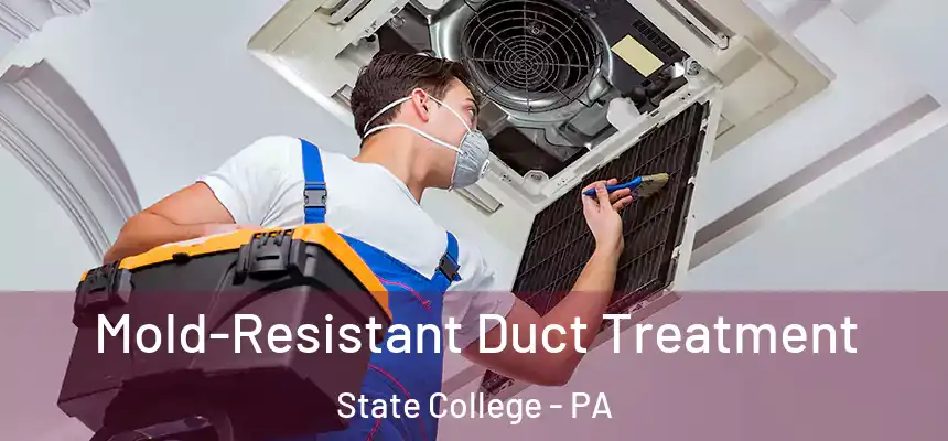 Mold-Resistant Duct Treatment State College - PA