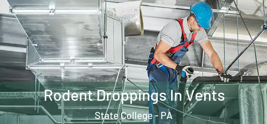Rodent Droppings In Vents State College - PA
