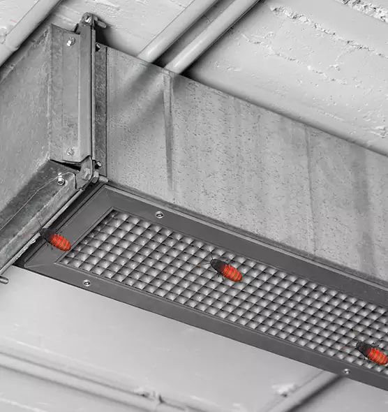 About Air Duct Cockroach Removal in State College, PA