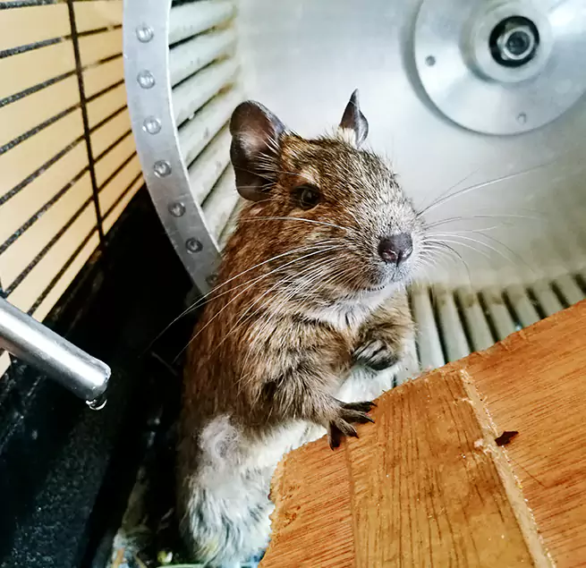 Why Homeowners & Businesses Trust Us State College, PA